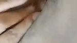 Assy want to swallow my sperm on video call