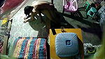 VID-2024702-BR2477