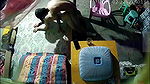 VID-2024702-BR2477