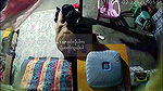VID-2024702-BR2477