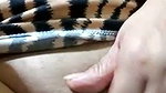 Both of us are horny every day video call sex just for relaxation