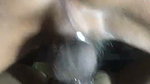 close up fuck to my wife wet pussy