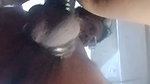 Dogging to my wife she so pleasured we like it so much