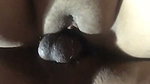 doggy to my wife wet and beautyful pussy