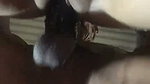 doggy to my wife wet and beautyful pussy