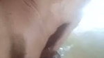 Fuck to my wife .I cum to her pussy getting harder