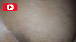 Married Pinay Next Door Fucked Raw by Her Secret Neighbor Lover