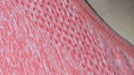 Melove Showing her Hairy Armpits and her