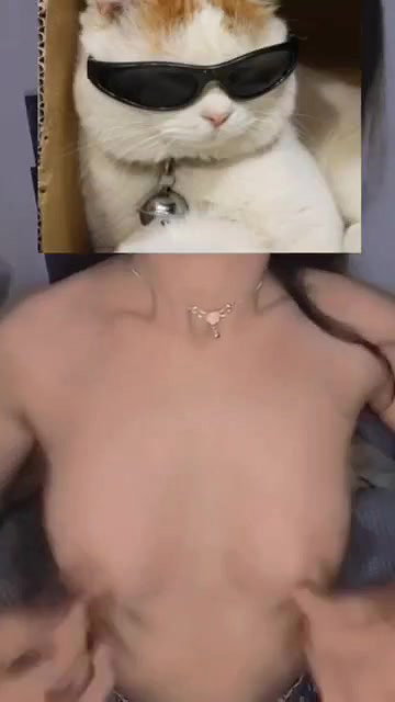 VID-2024702-BR24760