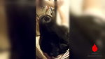 Pinay Hot Wife Fucks Family Driver Outside of Husband’s Room – Cheating WIfe