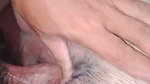 Quick Fuck To My Noughty Wife, Until We Cum At The Same time,