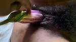 Cute Sri Lankan Amateur Girl Solo Masturbation With Eggplant Kella mol wela kale idala batu Kimbe