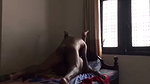 Girl ride and doggy style Sinhala voice