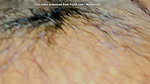 hasbund and wife sex video
