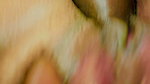 hasbund and wife sex video