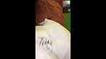 My Hot Girlfriend Video In Srilanka