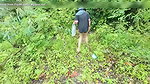 Thai Girl Walking Showing Along the Side of the Field Road in the Countryside Thai Outdoor Public