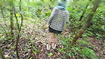Thai girls walking and talking and picking mushrooms in the forest, secretly showing in the deep forest Clear Thai voice