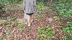 Thai girls walking and talking and picking mushrooms in the forest, secretly showing in the deep forest Clear Thai voice