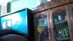 Bangladeshi tango show – 131