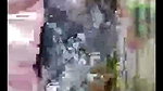 বৈশাখী নিউ সো – ২০২৫ ১৩-০৮-২০২৫