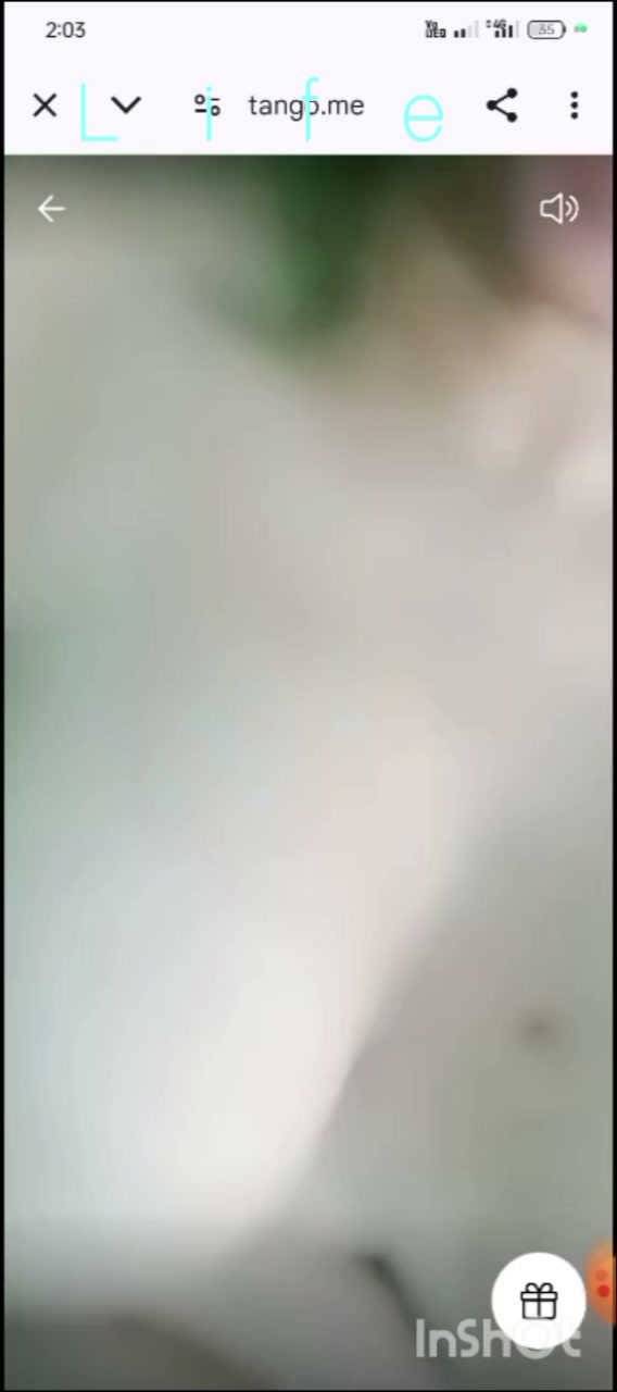 Frame 6