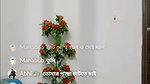সানি লিওন নিউ সো – ২০২৫ ১৬-০৮-২০২৫