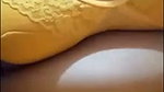 সুমি ঠাকুর সিঙ্গেল সো আগষ্ট ২০২৫