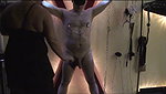 BalLbustExtremeFaHouFMD0648