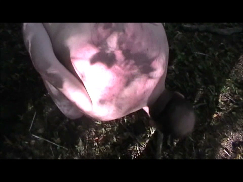 Frame 5