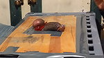 Ballbusting Trample and Fucked