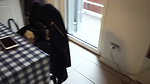 ExtremeBallbusting4021BL