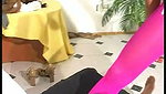 ExtremeBallbusting Cara Find The Pantyhose