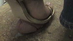 Girl massages guy s penis with shoes