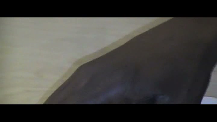Frame 6