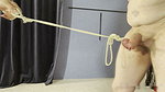 MISTRESSLUDOVICALUXURY PURPLE BALLS 20.10.23