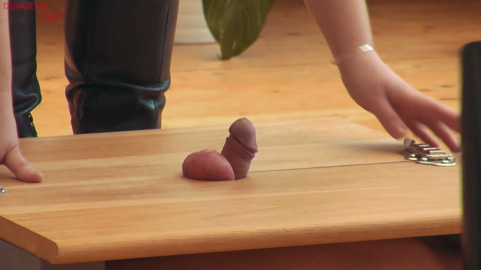 Frame 5