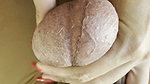 Mistress Jerking Slaves Cock Mussel and Slap Ball