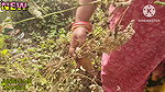 Did Something Like This with Payal Bhabhi in the Jungle the Video Is Very Hot