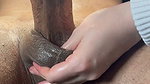 TUGGING AND PULLING HIS BALLS UNTIL HE CUMS