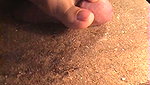 The guy loves trampling his dick with feet