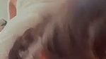 Beautiful College Girlfriend Sucking Boyfriend Cock & Hard Fucking 7 Clips 2 7
