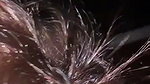 Big Ass Tamil Wife Sucking Dick And Riding Hard 2
