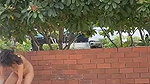 VIRAL INDIAN MOHALI GIRL NUDE RECORDED IN PUBLIC ~ 4 CLIPS (2) 2