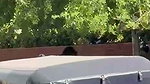 VIRAL INDIAN MOHALI GIRL NUDE RECORDED IN PUBLIC ~ 4 CLIPS (2) 4