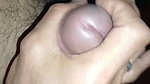 A Squirrel’s Tail Finally Comes To An End