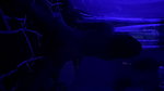 A video of a student having sex with her boyfriend