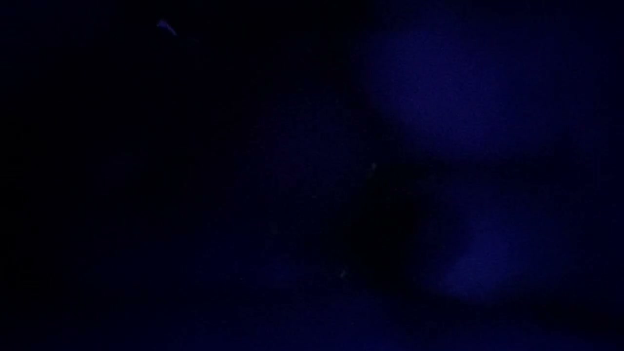 Frame 8
