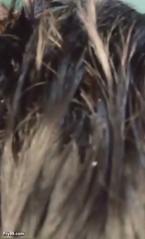 Frame 9