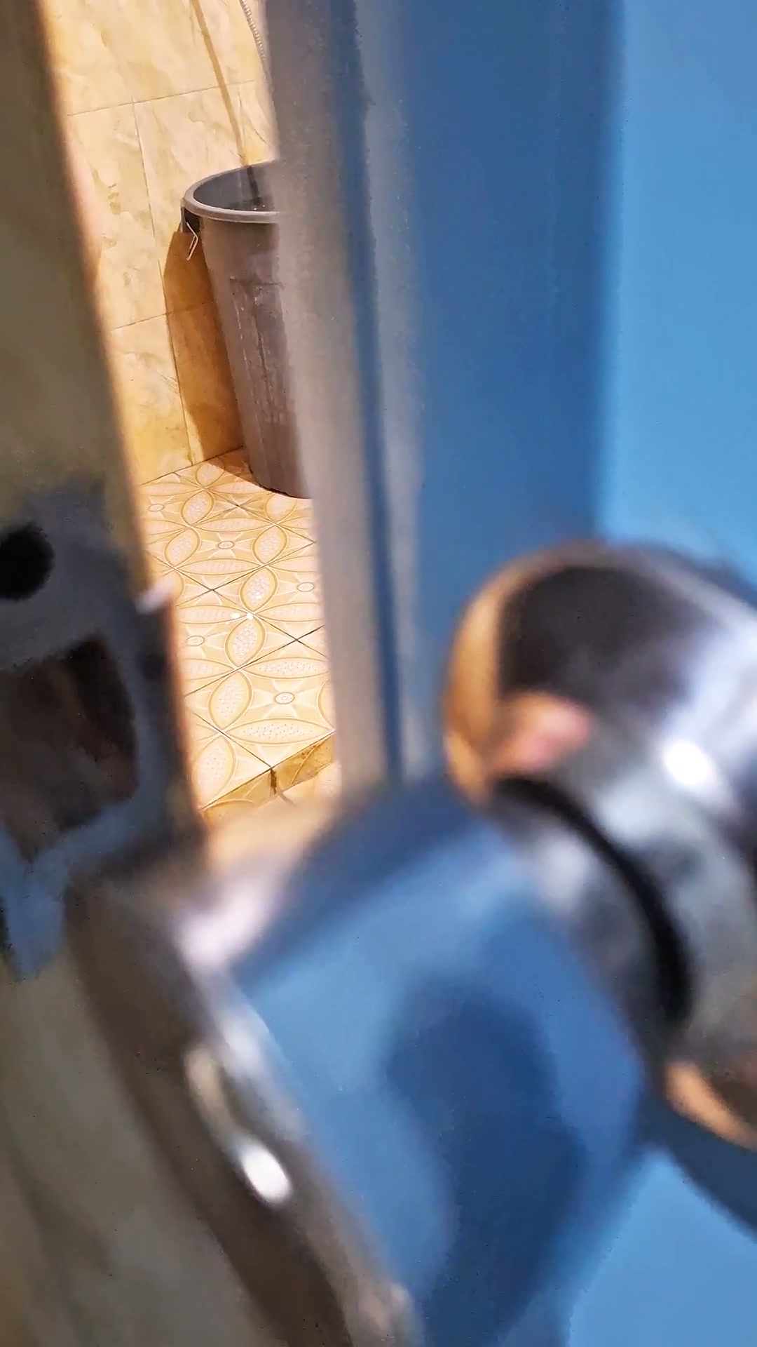 Frame 1